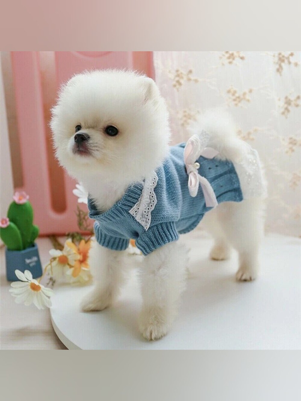 Princess Elegant Dress W/Bowknot Knit 🐶 Dog Sweater Size XL